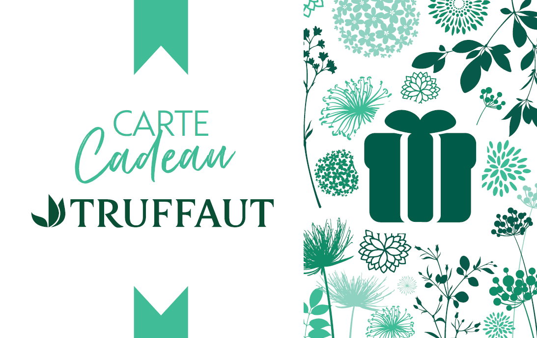 Truffaut